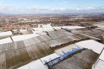 District Ingenheim in Billigheim-Ingenheim in the state Rhineland-Palatinate, Germany from the drone perspective