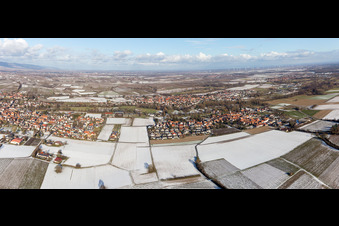 Aerial view of District Ingenheim in Billigheim-Ingenheim in the state Rhineland-Palatinate, Germany