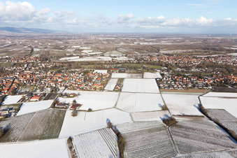 Oblique view of District Ingenheim in Billigheim-Ingenheim in the state Rhineland-Palatinate, Germany