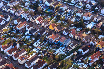 Forest road in winter with snow in Kandel in the state Rhineland-Palatinate, Germany
