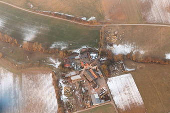 Bird's eye view of District Schaidt in Wörth am Rhein in the state Rhineland-Palatinate, Germany