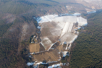 Haardtrand-Wolfsteig in the snow in Pleisweiler-Oberhofen in the state Rhineland-Palatinate, Germany