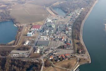 Lauterbourg in the state Bas-Rhin, France from the drone perspective