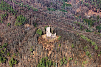 Ruins and vestiges of the former fortress Ramburg in Ramberg in the state Rhineland-Palatinate, Germany