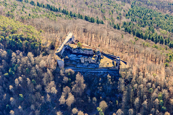 Aerial photograpy of Neuscharfeneck Castle Ruins in Flemlingen in the state Rhineland-Palatinate, Germany