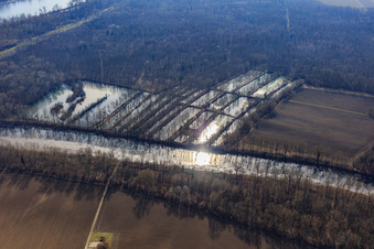 Flooded floodplain forests at the Micheslbach/Altrhein in Hördt in the state Rhineland-Palatinate, Germany