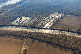 Aerial view of Flooded floodplain forests at the Micheslbach/Altrhein in Hördt in the state Rhineland-Palatinate, Germany