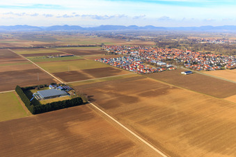 Village view from the southeast in Steinweiler in the state Rhineland-Palatinate, Germany