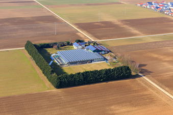 Sudetenhof in winter in Steinweiler in the state Rhineland-Palatinate, Germany