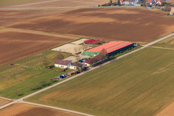 Oblique view of Equestrian center Fohlenhof in Steinweiler in the state Rhineland-Palatinate, Germany