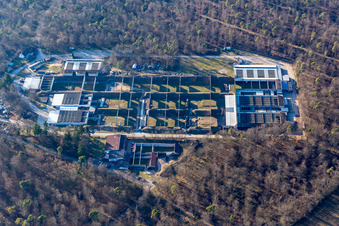 Training Area firing range aerea of Schiessanlage Philippsburg in Philippsburg in the state Baden-Wurttemberg, Germany