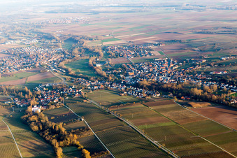 Aerial view of District Billigheim in Billigheim-Ingenheim in the state Rhineland-Palatinate, Germany