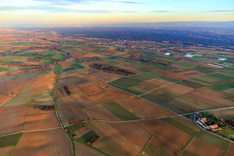 Otterbachtal in the evening with view to the Bienwald and to the east in Kapsweyer in the state Rhineland-Palatinate, Germany