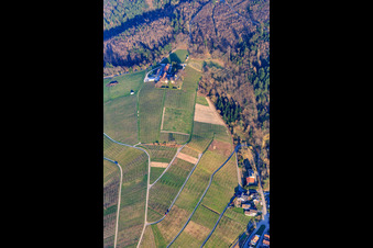 Nägelsförst Winery in the district Varnhalt in Baden-Baden in the state Baden-Wuerttemberg, Germany