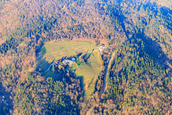 Aerial view of Fremersberg monastery estate, monastery tavern in Sinzheim in the state Baden-Wuerttemberg, Germany