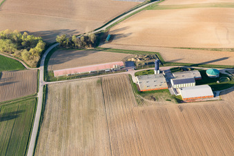 Aerial view of Trimbach in the state Bas-Rhin, France