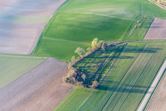 Aerial view of Grave rows on the grounds of the old jewish cemetery in Trimbach in Grand Est, France