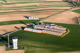 Stables for pigs at Farm on the edge of cultivated fields in Wintzenbach in Grand Est, France