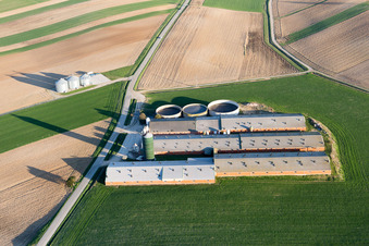 Oberlauterbach in the state Bas-Rhin, France seen from a drone