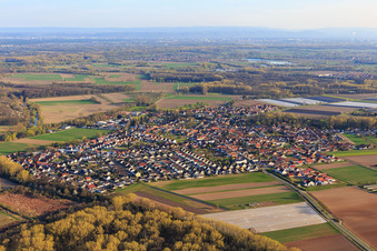 Aerial view of Village view in the Rhine meadows from the northwest in Hördt in the state Rhineland-Palatinate, Germany