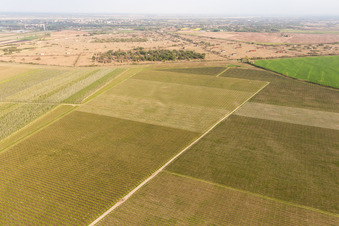 Oblique view of Il Cristo in the state Friuli Venezia Giulia, Italy