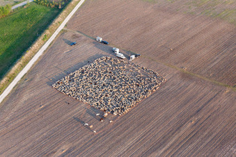 Aerial view of San Leonardo in the state Friuli Venezia Giulia, Italy