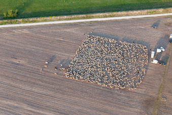 Aerial photograpy of San Leonardo in the state Friuli Venezia Giulia, Italy