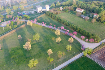 San Leonardo in the state Friuli Venezia Giulia, Italy seen from above