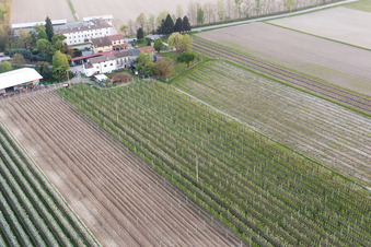 Domanins in the state Friuli Venezia Giulia, Italy from above