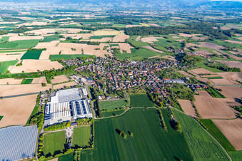 Village - view on the edge of agricultural fields and farmland in Scherzheim in the state Baden-Wurttemberg, Germany