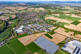 Aerial view of District Scherzheim in Lichtenau in the state Baden-Wuerttemberg, Germany