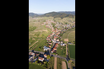 Oblique view of District Eisental in Bühl in the state Baden-Wuerttemberg, Germany