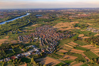 Overview of the Rhine meadows from the southwest in Au am Rhein in the state Baden-Wuerttemberg, Germany