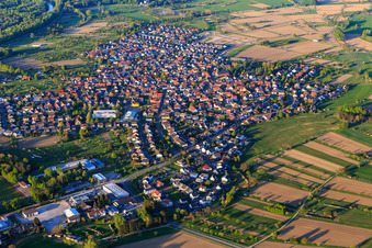 View of the Rhine meadows from the south in Au am Rhein in the state Baden-Wuerttemberg, Germany