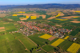 View of the town from the east in Schweighofen in the state Rhineland-Palatinate, Germany