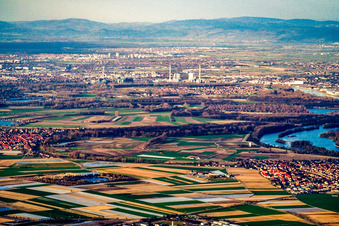 Otterstadt from the south in Waldsee in the state Rhineland-Palatinate, Germany