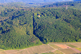 Wiesentheid/Untersambach