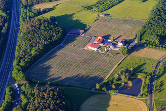 Aerial view of Behringer Winery in Abtswind in the state Bavaria, Germany