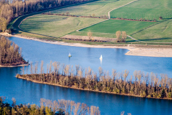 Sailboats on the Otterstadt Old Rhine in Otterstadt in the state Rhineland-Palatinate, Germany