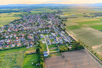 Aerial view of Village view in the evening from the east in Minfeld in the state Rhineland-Palatinate, Germany