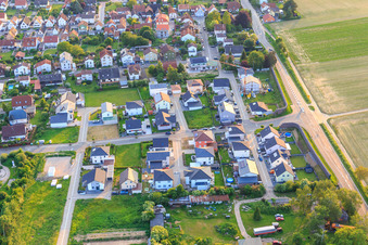 In the Holderbush from the east in Minfeld in the state Rhineland-Palatinate, Germany