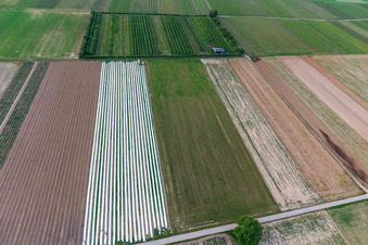 Eier-Meier's Fruit Plantation in the district Mühlhofen in Billigheim-Ingenheim in the state Rhineland-Palatinate, Germany from the plane