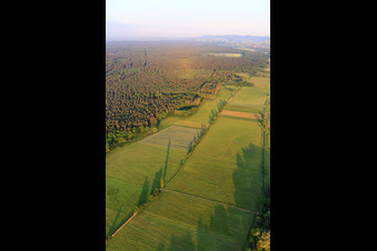 Aerial view of Otterbach lowlands in the Bienwald in Freckenfeld in the state Rhineland-Palatinate, Germany