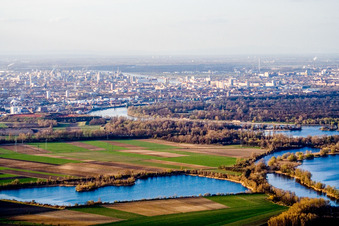 City view on the river bank of the Rhine river in Ludwigshafen am Rhein in the state Rhineland-Palatinate, Germany