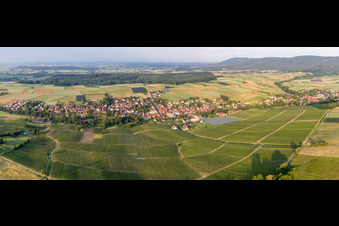 Steinseltz in the state Bas-Rhin, France from the drone perspective
