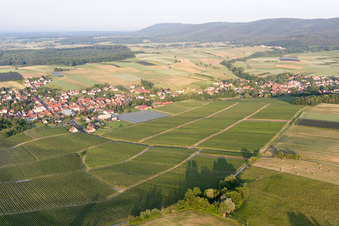 Steinseltz in the state Bas-Rhin, France seen from a drone