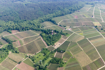 Aerial photograpy of Chateau Saint Paul on the Sonnenberg in Wissembourg in the state Bas-Rhin, France