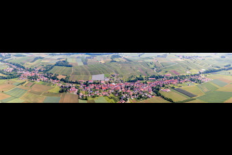 Aerial view of Panoramic perspective Village - view on the edge of agricultural fields and farmland in Steinseltz in Grand Est, France
