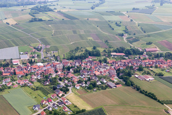 Steinseltz in the state Bas-Rhin, France from above