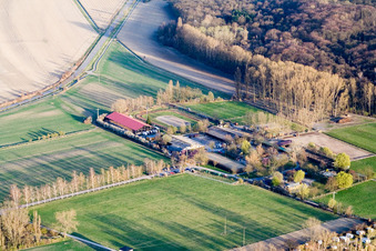 Aerial view of Riding Club Altrip eV in Altrip in the state Rhineland-Palatinate, Germany